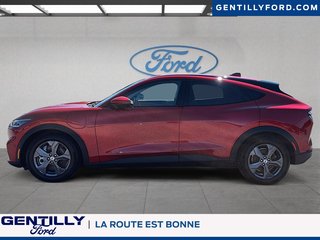 Ford Mustang Mach-E Select 2021 à Bécancour (Secteur Gentilly), Québec - 5 - w320h240px