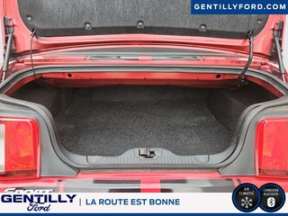 Ford Mustang V6 2010 à Bécancour (Secteur Gentilly), Québec - 6 - w320h240px