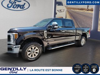 2019 Ford Super Duty F-250 SRW in Bécancour (Gentilly Sector), Quebec - 6 - w320h240px