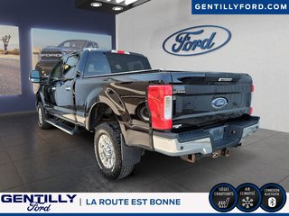 2019 Ford Super Duty F-250 SRW in Bécancour (Gentilly Sector), Quebec - 4 - w320h240px