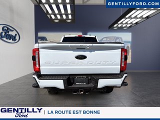 Ford Super Duty F-250 SRW XLT 2024 à Bécancour (Secteur Gentilly), Québec - 3 - w320h240px