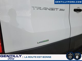 Ford Transit Cargo Van  2024 à Bécancour (Secteur Gentilly), Québec - 5 - w320h240px