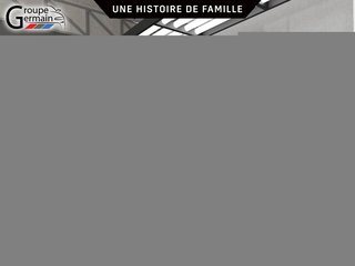 2019 Chevrolet Silverado 1500 in St-Raymond, Quebec - 10 - w320h240px