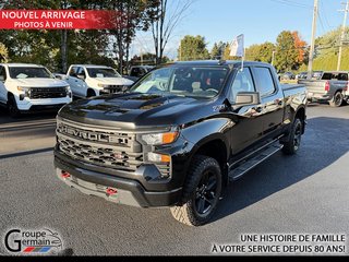 2024 Chevrolet Silverado 1500 in St-Raymond, Quebec - 7 - w320h240px