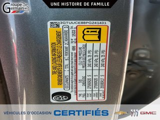 2023 GMC Sierra 1500 in St-Raymond, Quebec - 29 - w320h240px