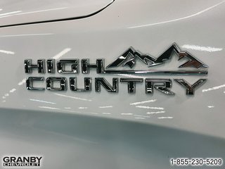 Chevrolet Silverado 1500  2019 à Granby, Québec - 6 - w320h240px