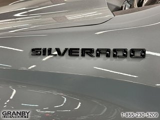 2024 Chevrolet SILVERADO CREW RST 4RM in Granby, Quebec - 6 - w320h240px