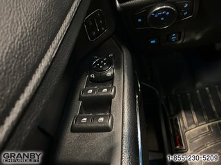 2019 Ford Expedition in Granby, Quebec - 11 - w320h240px