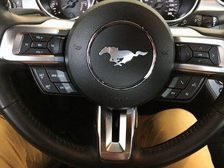 2022 Ford Mustang in Granby, Quebec - 10 - w320h240px