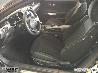 Ford Mustang  2022 à Granby, Québec - 7 - w320h240px