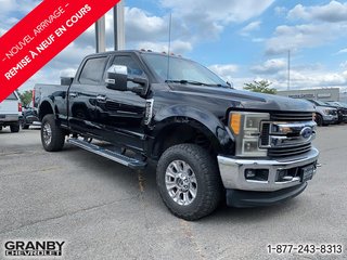 2017 Ford Super Duty F-250 SRW in Granby, Quebec - 3 - w320h240px