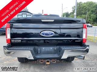 2017 Ford Super Duty F-250 SRW in Granby, Quebec - 6 - w320h240px