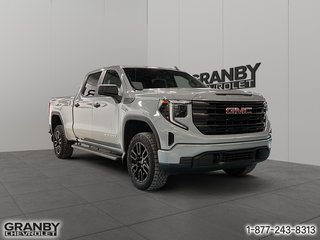 2024 GMC Sierra 1500 Pro crewcab boite 6.6 moteur 4 cyl 2.7L in Granby, Quebec - 3 - w320h240px