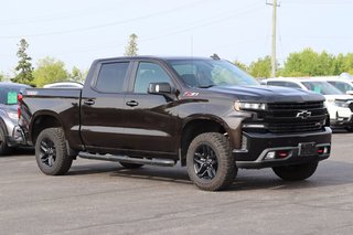 Chevrolet Silverado 1500 LT Trail Boss 2019 à Sault Ste. Marie, Ontario - 3 - px