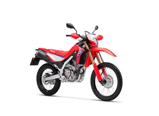 2025 Honda CRF300L ABS in Sault Ste. Marie, Ontario - 2 - px