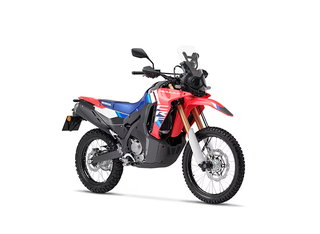 2025 Honda CRF300L ABS Rally in Sault Ste. Marie, Ontario - 2 - px