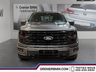 Ford F-150 XLT 4WD SuperCrew 145 WB 2024