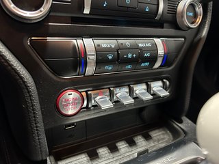Ford MUSTANG  2023 à Montréal, Québec - 14 - w320h240px