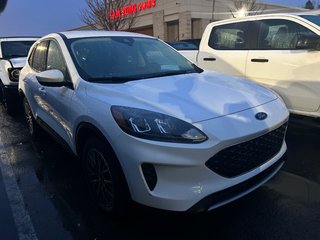 2021 Ford Escape in Brossard, Quebec - 3 - w320h240px