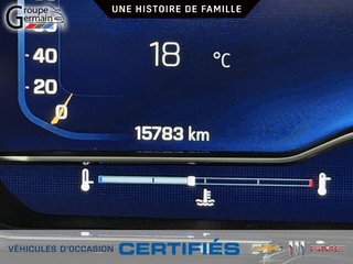 2025 Chevrolet Silverado 1500 à St-Raymond, Québec - 28 - w320h240px