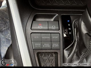 2024 Toyota RAV4 in Donnacona, Quebec - 30 - w320h240px