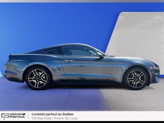 2019 Ford Mustang EcoBoost, boîte automatique, propulsion in Rivière-du-loup, Quebec - 4 - w320h240px