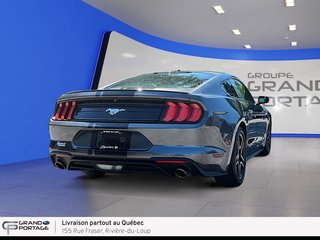 2019 Ford Mustang EcoBoost, boîte automatique, propulsion in Rivière-du-loup, Quebec - 5 - w320h240px