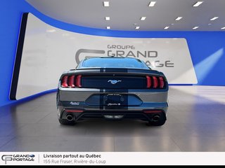 2019 Ford Mustang EcoBoost, boîte automatique, propulsion in Rivière-du-loup, Quebec - 6 - w320h240px