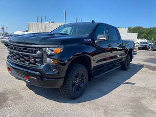 2024 Chevrolet Silverado 1500 Custom Trail Boss in Terrebonne, Quebec - 3 - w320h240px