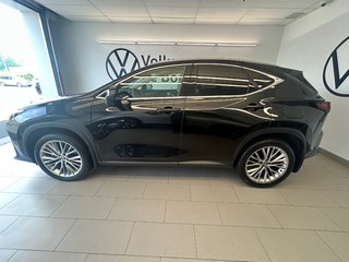 Lexus NX NX 350h 2024 à Boucherville, Québec - 5 - w320h240px