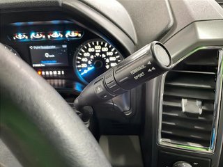 Ford F-150  2016 à Saint-Hyacinthe, Québec - 15 - w320h240px