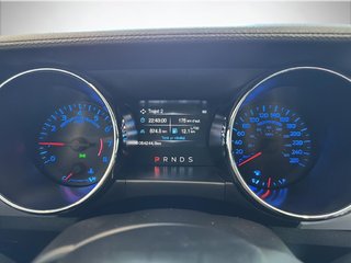 Ford MUSTANG  2017 à Saint-Hyacinthe, Québec - 14 - w320h240px