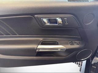 Ford MUSTANG  2017 à Saint-Hyacinthe, Québec - 11 - w320h240px