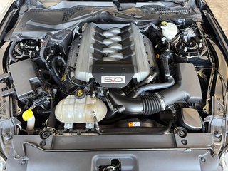 Ford MUSTANG  2017 à Saint-Hyacinthe, Québec - 8 - w320h240px