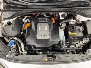 2019 Hyundai Ioniq in Saint-Hyacinthe, Quebec - 3 - w320h240px