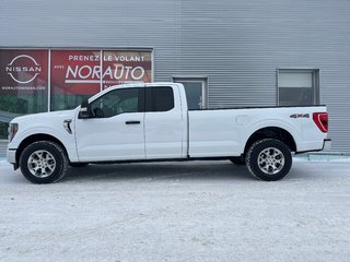 Ford F-150 XLT 5.0L 2023 à Amos, Québec - 3 - w320h240px