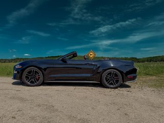 2020 Ford Mustang Ecoboost in Mont-Laurier, Quebec - 3 - w320h240px