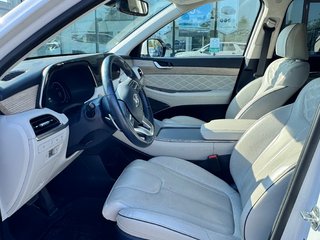 2021 Hyundai Palisade Ultimate Calligraphy in Miramichi, New Brunswick - 5 - w320h240px