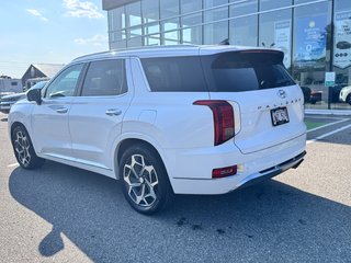 2021 Hyundai Palisade Ultimate Calligraphy in Miramichi, New Brunswick - 4 - w320h240px