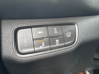 2020 Hyundai Santa Fe Ultimate in Miramichi, New Brunswick - 6 - w320h240px