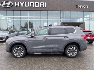 Hyundai Santa Fe Urban 2023 à Miramichi, Nouveau-Brunswick - 3 - w320h240px