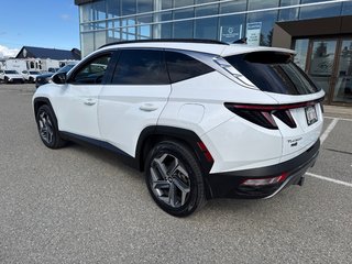 2022 Hyundai Tucson Hybrid Luxury in Miramichi, New Brunswick - 2 - w320h240px