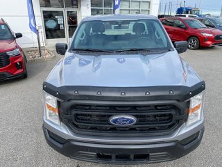 Ford F-150 XL  4X2 Régulier Cab 2021 à Matane, Québec - 2 - w320h240px