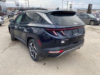 2022 Hyundai Tucson Hybrid Luxury in Sydney, Nova Scotia - 4 - w320h240px