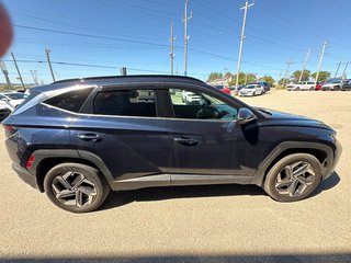2023 Hyundai Tucson Hybrid in Sydney, Nova Scotia - 4 - w320h240px