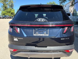 2023 Hyundai Tucson Hybrid in Sydney, Nova Scotia - 3 - w320h240px