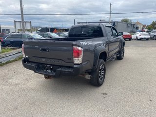 2020  Tacoma in Sydney, Nova Scotia - 3 - w320h240px