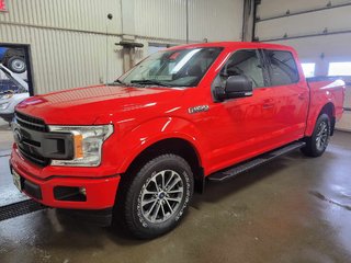 2020  F-150 in Bécancour (Gentilly Sector), Quebec - 5 - w320h240px