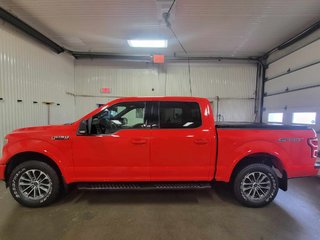 2020  F-150 in Bécancour (Gentilly Sector), Quebec - 6 - w320h240px