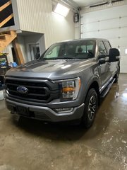 2021  F-150 in Bécancour (Gentilly Sector), Quebec - 3 - w320h240px